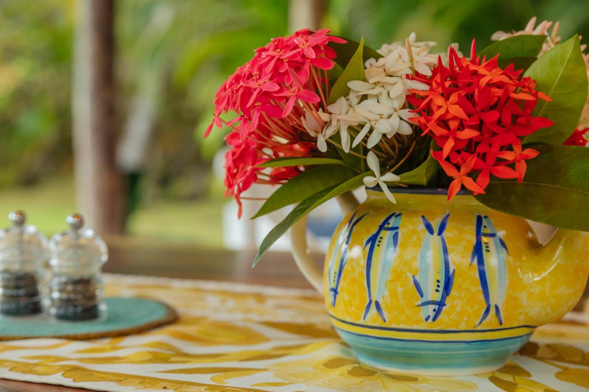 Solea Villa Tropical Santa Marta  Buitenkant foto