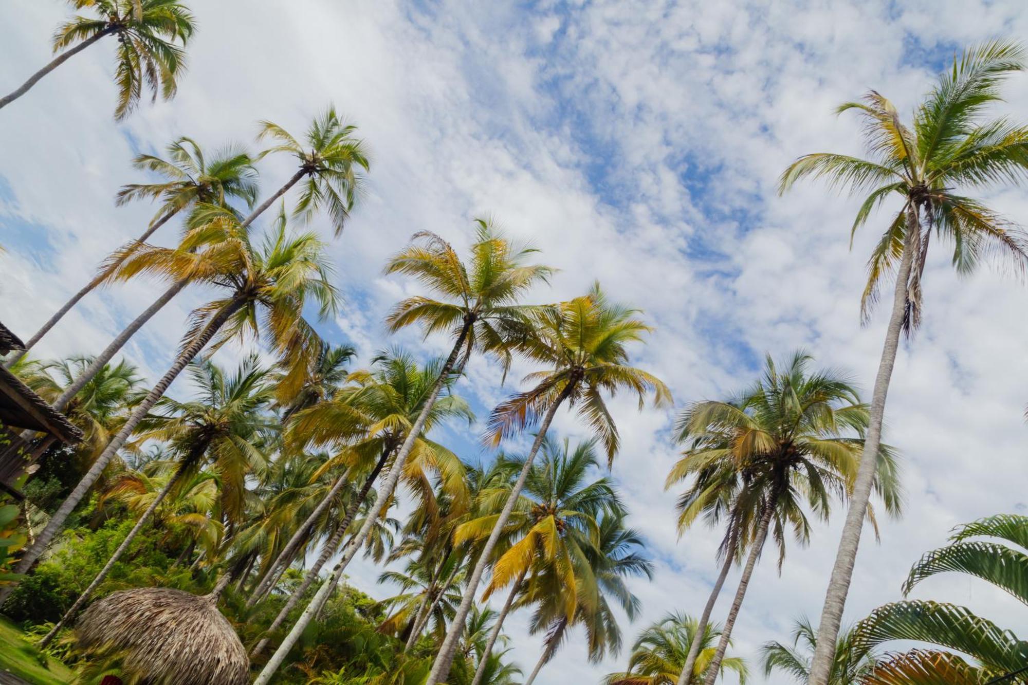 Solea Villa Tropical Santa Marta  Buitenkant foto