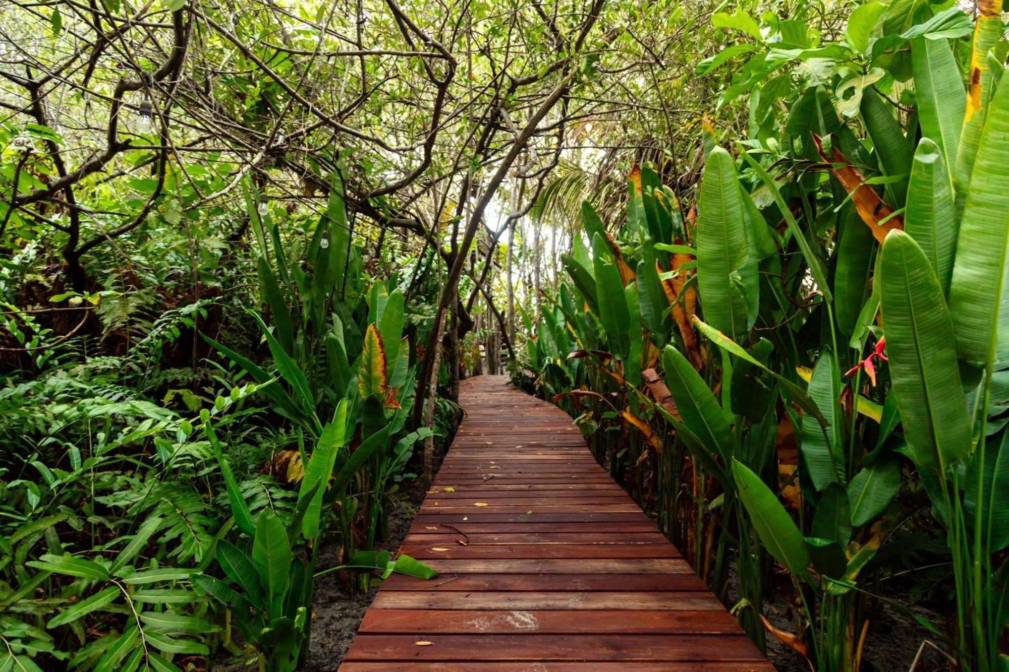 Solea Villa Tropical Santa Marta  Buitenkant foto